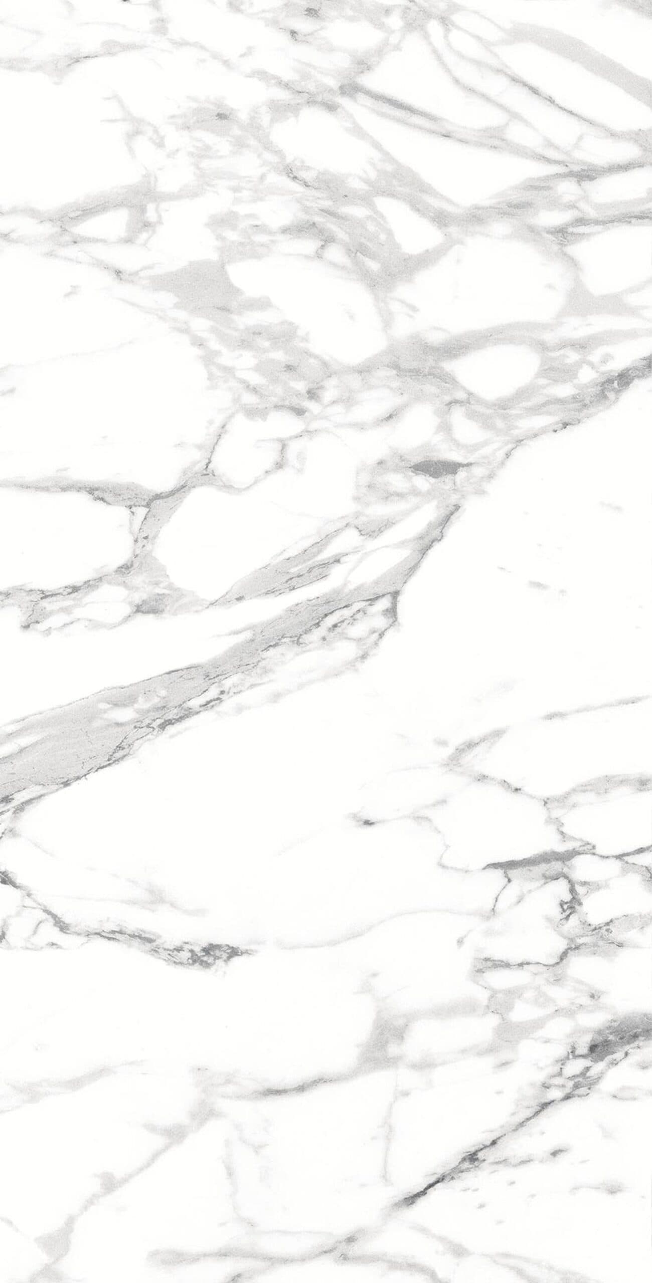 white carrara matt 600 x 1200 mm