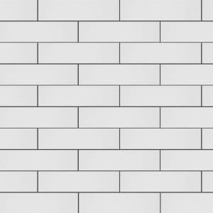 white gloss flat ceramic 100 x 300 mm